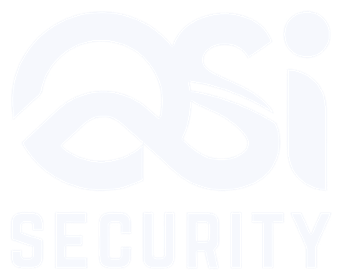 QSI Security