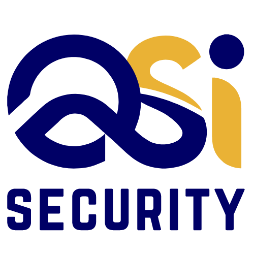 Official logo of QSI Security