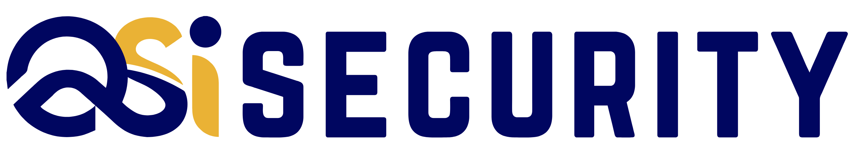 QSI Logo